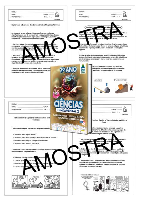 3-AMOSTRA-7-ANO