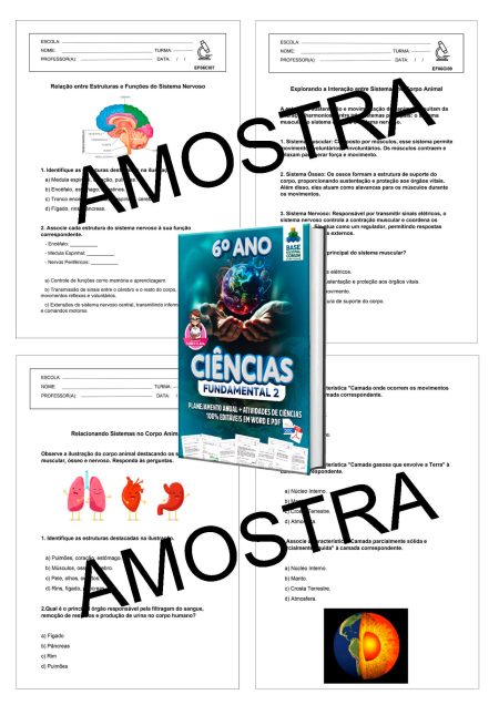 3---AMOSTRAS-6-ANO